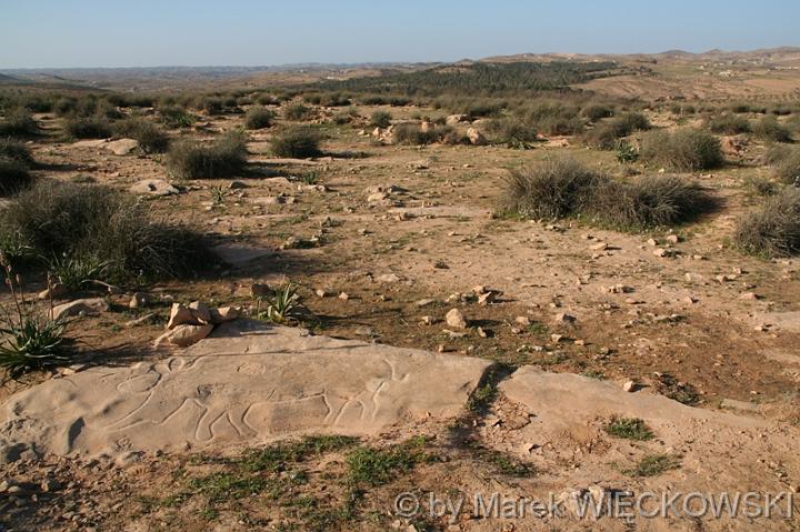 libya_jebel 075